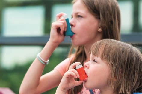 Examples of different inhaler devices are illustrated to aid identification. Inhaler Colors Chart 2021 : Highest Asthma Death Rates U S ...