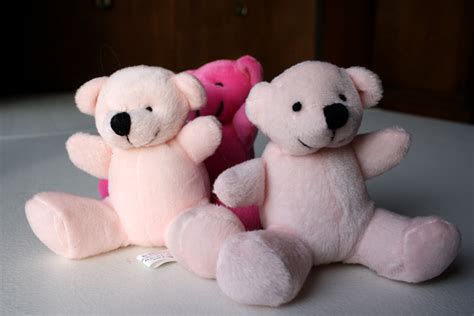 Three Teddy Bears Picture | Free Photograph | Photos Public Domain