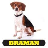 Get quotes and hire a pest/termite professional. Braman Termite & Pest Elimination - Pest Control in Agawam ...