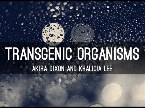 Transgenic organism (genetically modifi… moving genes from one organism into another organism. Presentations and Templates by Khalicia Lee