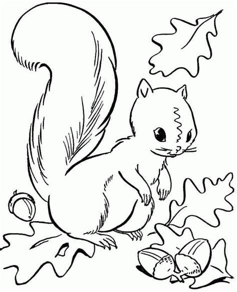 Fall coloring pages for kindergarten see more images here : Preschool Fall Coloring Pages - Coloring Home