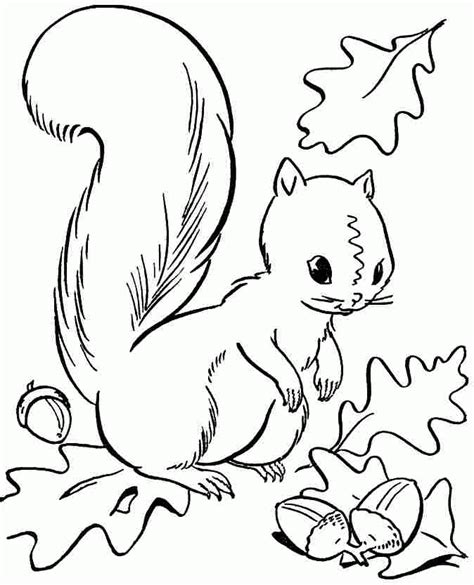 We are always adding new ones, so make sure to come back and check us out or make a suggestion. Preschool Fall Coloring Pages - Coloring Home