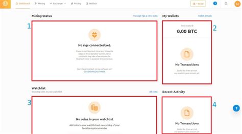 A basic status and profitability overview on nicehash.com jason evangelho Learn how to work with the NiceHash mining pool - Poolyab