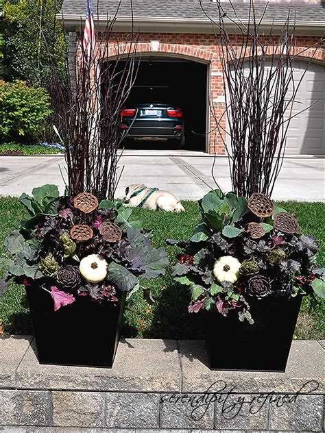 We did not find results for: Serendipity Refined Blog: Fall Planters and Urns: What I ...