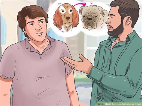 Treatment of mange in dogs. How to Cure Mange in Dogs: 11 Steps (with Pictures) - wikiHow