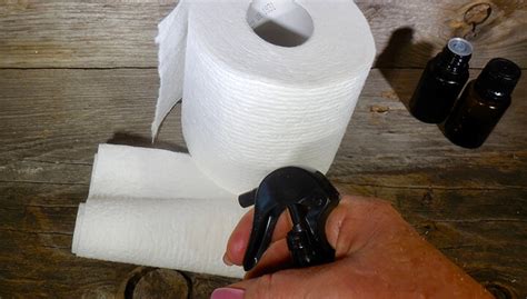 How to clean inside your bum. This Homemade Spray Cleans Your Bum Without Toxic Chemicals