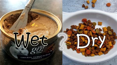 Supports healthy joints & healthy skin and coat : Dry Vs. Wet Cat Food - The Better Choice for Your Cat ...