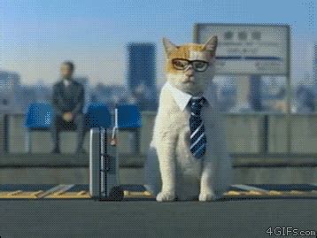 Share the best gifs now >>>. Reddits CEO on his way to a meeting : funny