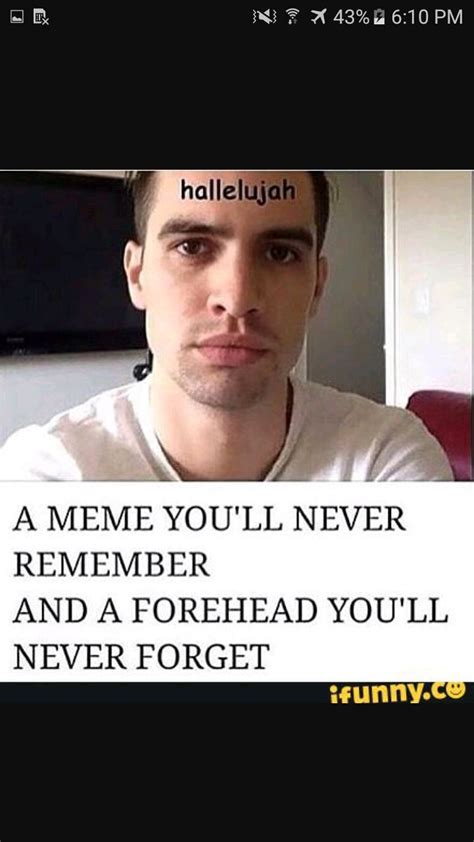 Now that we know it is confirmed he ain't becoming a. Pin by Elysia Gonzalez on P!ATD | Emo band memes, Panic ...