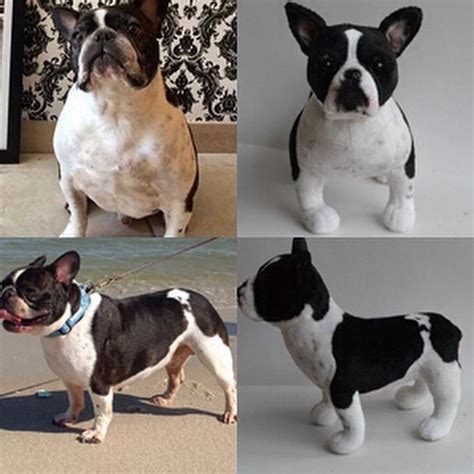 Cuddle clonescustom stuffed animals based on your pet! Cuddle Clones is the company that makes cuddly toy ...