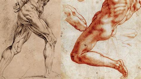 Check spelling or type a new query. Muscular Legs Drawing at GetDrawings | Free download