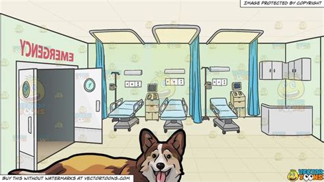 When sierra became suddenly and extremely ill, pet parent lisa rushed her to the veterinary hospital only to whether your pet gets into mischief that lands him in the emergency room or develops a disease later in life that takes you both by surprise, their medical. A Playful Corgi Pet Dog and Hospital Emergency Room ...