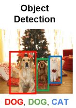 Hardware designed for computer vision and analysis is more widely the effects of these advances on the computer vision field have been astounding. Deep Learning for Computer Vision - Image Classification ...