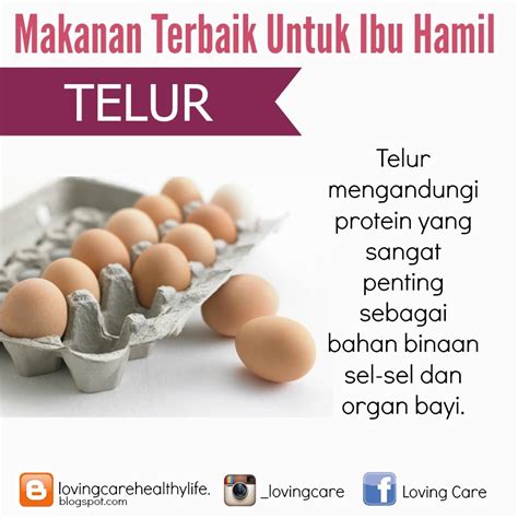 Hb tentu dibutuhkan tubuh agar semua. 10 Jenis Makanan Bagus Untuk Ibu Mengandung Dan Bayi Dalam ...