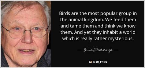 Now, i find that very difficult to reconcile with notions about a merciful god. David Attenborough quote: Birds are the most popular group ...