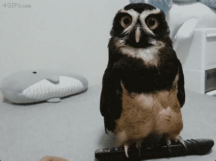 Many ideas for toddlers, preschoolers, kindergartners and older kids. For animated GIFs