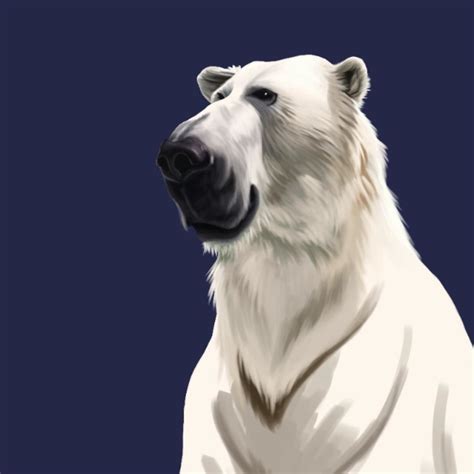 In this photoshop tutorial, you will learn to add snow to a photo. Something I am playing with! Animal caricatures!! Polar ...
