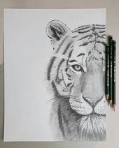 Voir plus d'idées sur le thème animaux, dessins mignons, fond d'ecran dessin. Dessin au crayon d'un tigre. Dessin au crayon tigre #graphite | Dessin au crayon, Dessin, Drawing