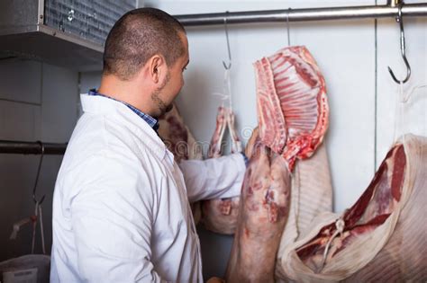 Profit distributions from business activity or price appreciation of assets. Butcher Working With Meat In Store Stock Photo - Image of ...