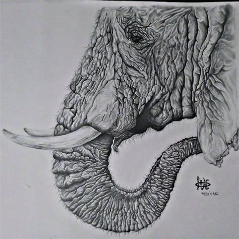 If you fancy getting creative while at home, why not learn how to draw this cute elephant? Pancile ART ...,Draw Realistic elephant face in 2020 ...