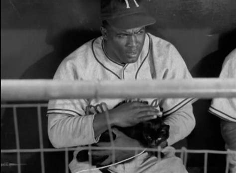 This is a story about race and the power to. The Jackie Robinson Story (1950 | Katzen