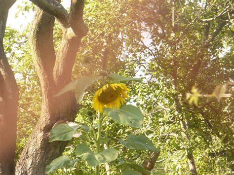 518 likes · 3 talking about this. Zdjęcie 19/60 w aranżacji Koniec wakacji, sierpniowe ...