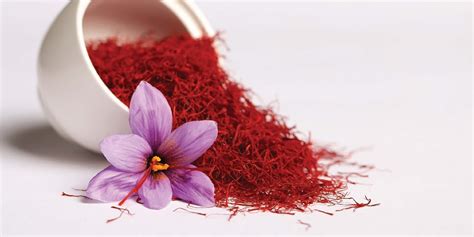 We did not find results for: Bunga Saffron, Rempah Termahal di Dunia yang Baik untuk ...