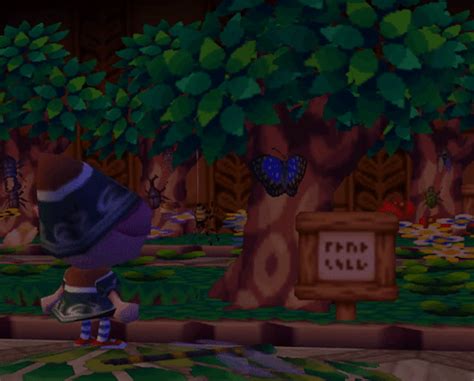 The most valuable fish and bugs can be found on the island at night, from 8pm to 5am. animal crossing fish | Tumblr