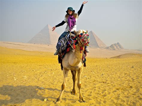 And a dromedary is a camel. How to Ride a Camel in Egypt | Camels, Buckets and Travel bugs