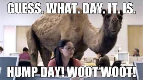 The commercial ends with the infamous geico camel shouting, guess what day it is as ms. Pin on Happy Day and Nighty Night