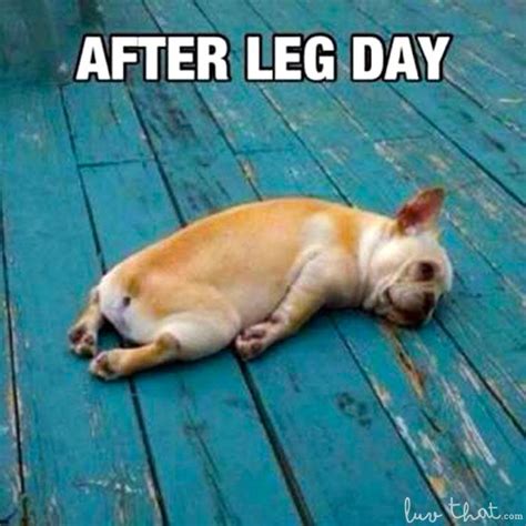 Heres some leg day motivation! After Leg Day | Fishing memes, Fishing humor, Funny pictures