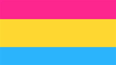 Una persona pansexual es aquella que no le da importancia al género o sexo de las otras personas, al momento de entablar una relación amorosa. ¿Qué es ser pansexual?