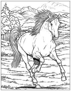 All information these cookies collect is aggregated and therefore anonymous. Free realistic wild Horse coloring pages to print | Horse ...