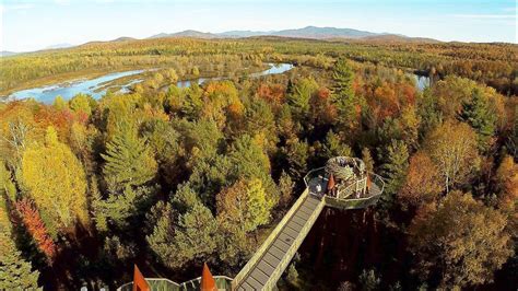 Maybe you would like to learn more about one of these? The Wild Center of Tupper Lake, NY, is a park nestled in ...