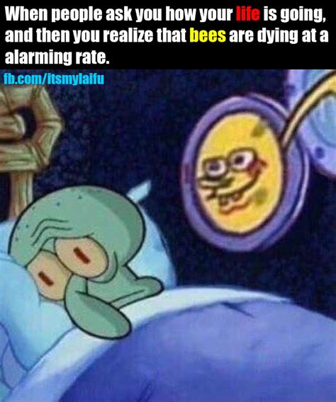 Here are some of the very best spongebob memes: Pin by Laifu Memes on facebook.com/itsmylaifu | Stupid ...