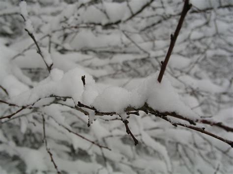 Denn da ist der klimatologische oder meteorologische winteranfang. wann wird es mal wieder richtig Sommer... Foto & Bild ...