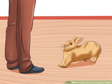 Do you want to learn how to take care of a bunny? Pin on Rabbits