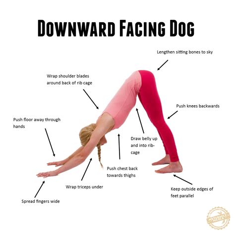 While focusing on the amazing stretch benefits in a downward dog, people often forget they are using upper back and shoulder muscle to help guide. Anatomy - Soul to Sole Wellness