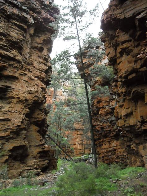 Remarkable meaning, definition, what is remarkable: Dzung Nguyen's Blog: Mt Remarkable National Park, southern ...