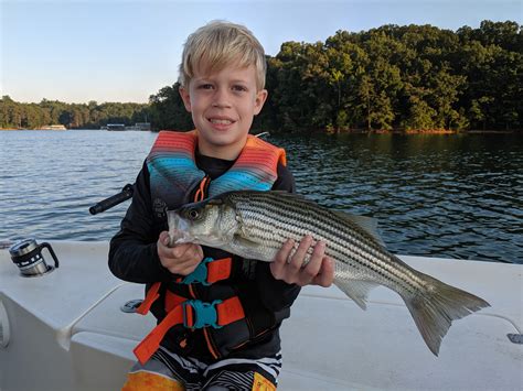 A few of my satisfied customers! August 2019 Lake Lanier Striper Fishing Report - The ...