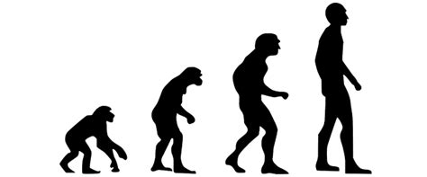 Die neandertaler hielten sie im vergleich zum homo. Seit wann gibt es Menschen? Evolution im Zeitverlauf ...