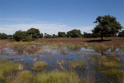 Vandaag heerlijk gewandeld op het leersumse veld. Weekendtips Amersfoort e.o. 20 t/m 22 oktober - Bier en ...