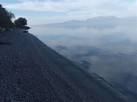 Στον ιερό ναό των αγίων αποστόλων τελέστηκε δοξολογία και ξεκίνησε η επανάσταση του 1821. Η ΙΣΤΟΣΕΛΙΔΑ ΤΩΝ ΑΓΙΩΝ ΑΠΟΣΤΟΛΩΝ: ΧΡΙΣΤΟΥΓΕΝΝΑ ΣΑΝ ΚΑΛΟΚΑΙΡΙ