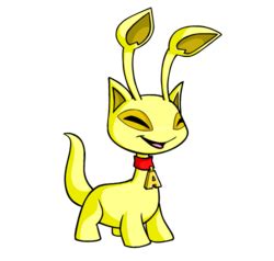 Aisha was the daughter of the second leader of the muslim community, abu bakr. Aisha - NeoDex: The Neopets Wiki