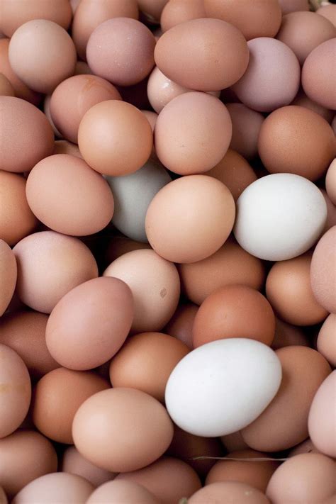 Small Bites: Egg sizes, wine country trivia, baking soda vs. baking 