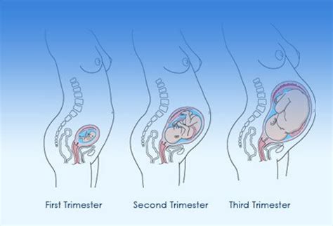 Stage 3 kidney disease is diagnosed by a doctor based on your symptoms as well as lab results. Pregnancy Week-by-Week Early and Later Signs & Symptoms