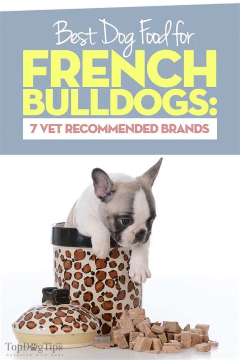 Hence, they can be given specialized multivitamins that protect their joints, skin, coat, and. Best Dog Food for French Bulldogs 2020: 7 Vet Recommended ...