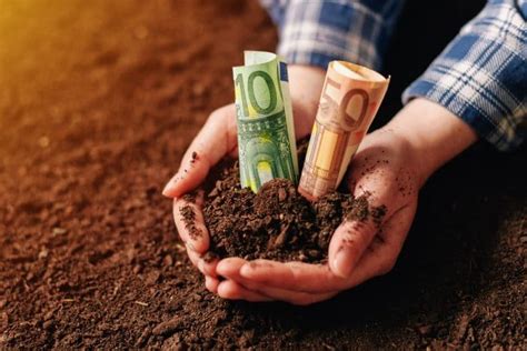 Dies ist steuerlich beim kindergeld zu berücksichtigen. Unterhalt für Kinder im Studium - Ein Ratgeber für Väter ...