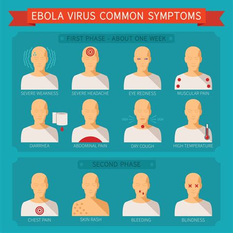 Marburg virus causes marburg hemorrhagic fever — an illness marked by severe bleeding (hemorrhage), organ failure and, in many cases, death. Ebola-Symptome