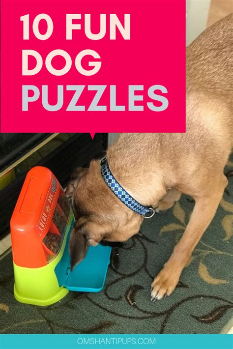 Dog puzzle toys are great for when you have to leave your dog home alone. Top 10 Dog Puzzles You Need To Exercise Their Brain in ...